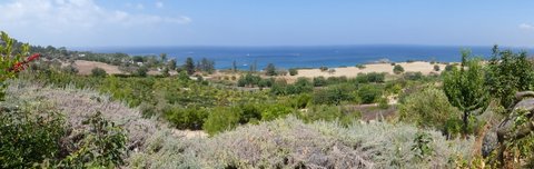 Pan-TomsFarm-ViewToSea