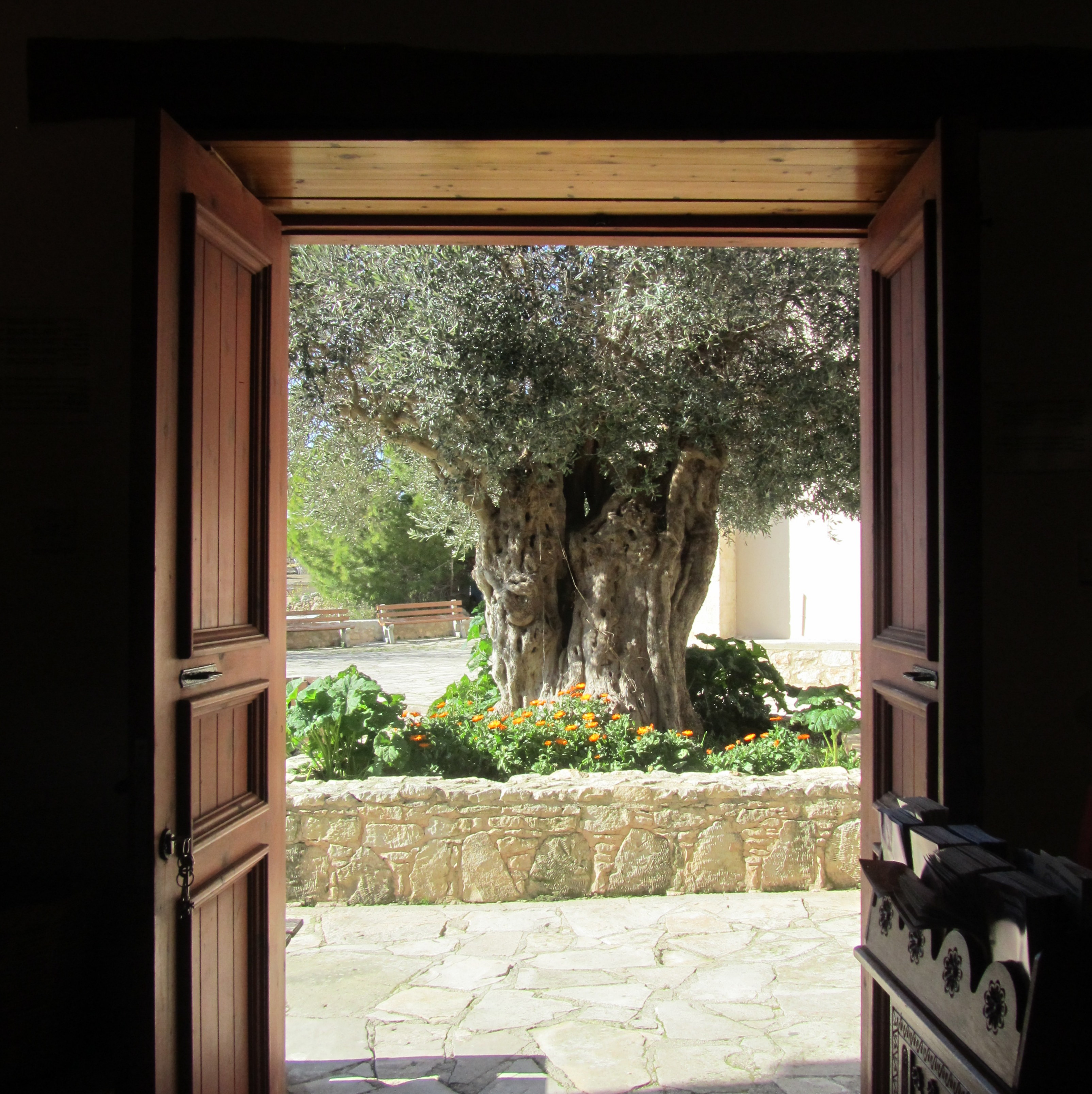 hol-esca-new-olive-tree-church-entrance-shot-oct-16