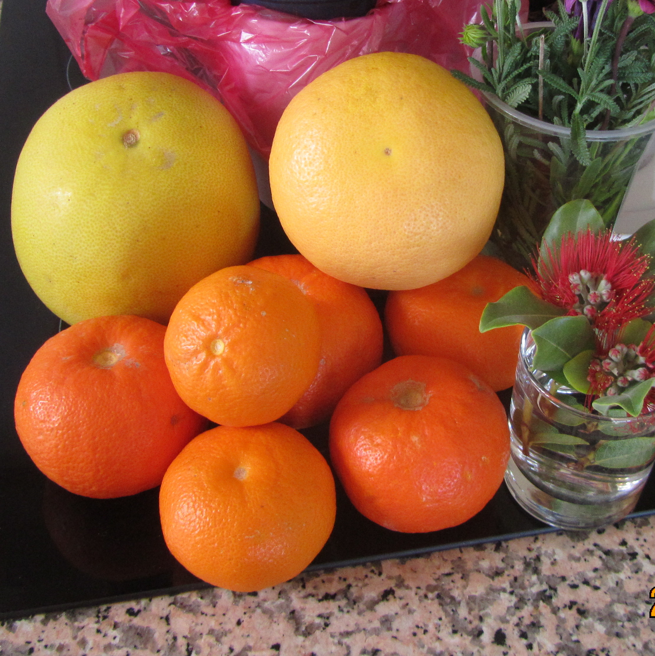 holisticescapes-fruit-jan-21